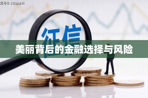 西安美丽背后的金融选择与风险