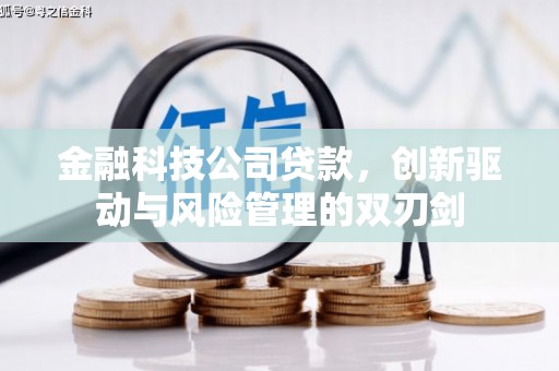 西安金融科技公司贷款，创新驱动与风险管理的双刃剑